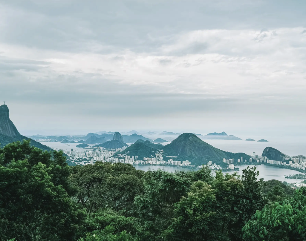 Rio de Janeiro’s mountains, coastline, and city skyline viewed above the green canopy of Tijuca National Park.