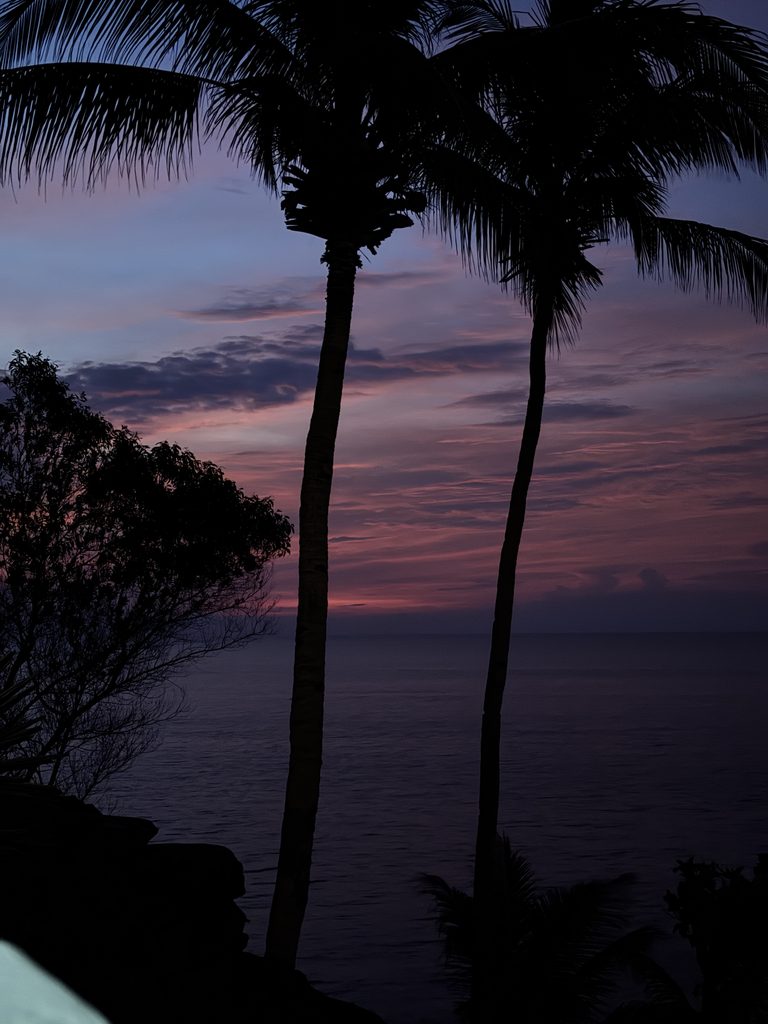 Silhouetted palm trees overlooking the ocean beneath a pink and purple sunset sky.