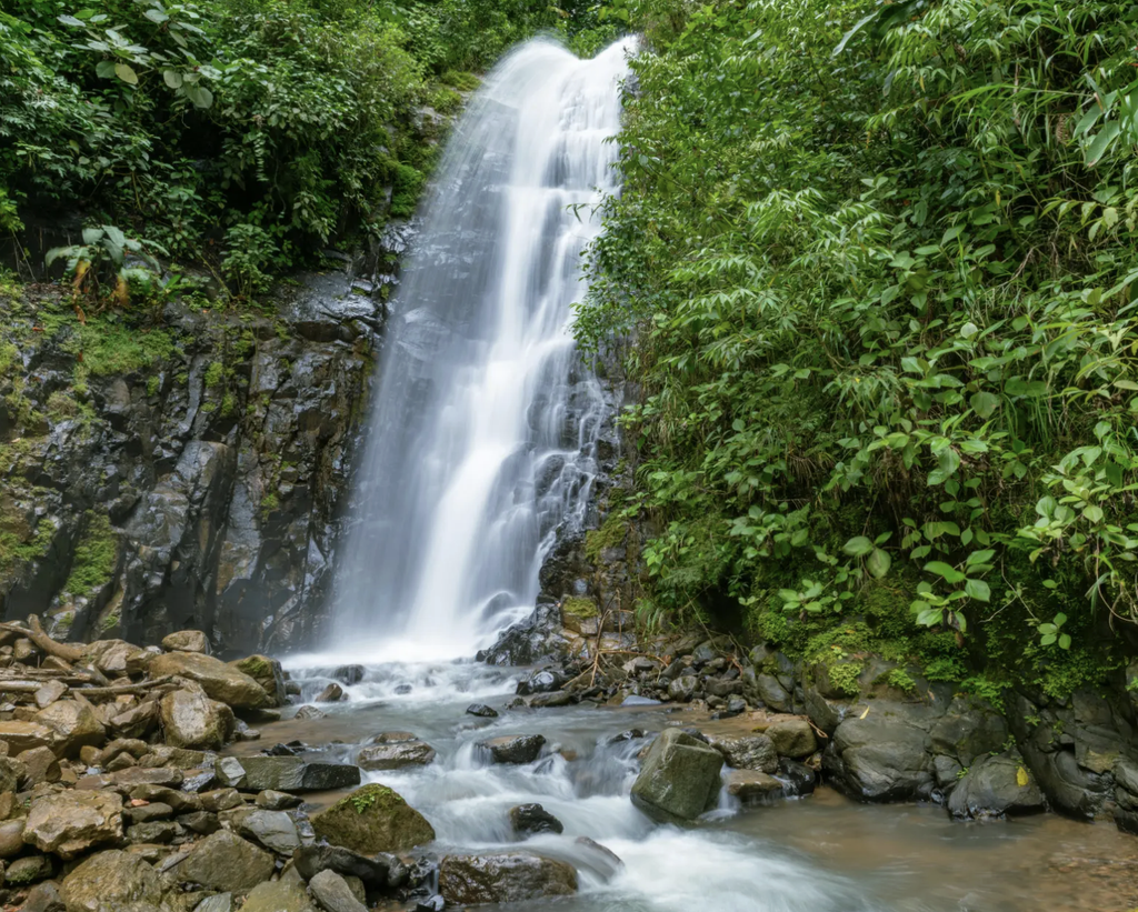 Waterfall surrounded by lush rainforest near La Fortuna and Arenal, Costa Rica