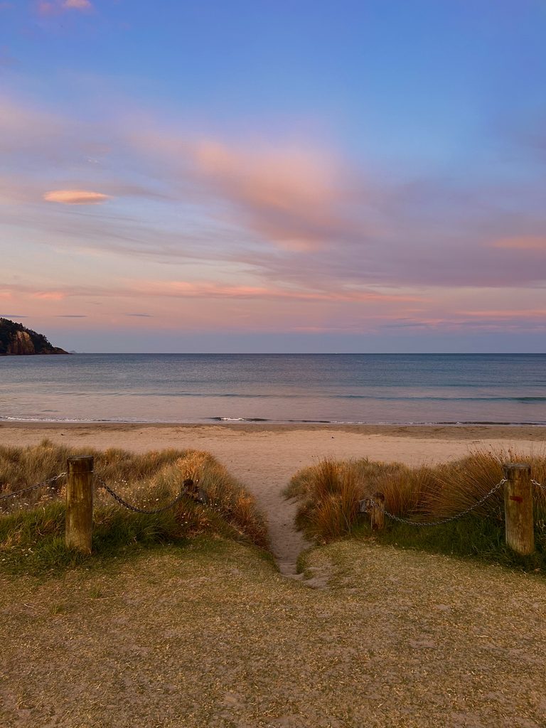 New Zealand beach at sunset with pink skies and a path leading to the ocean