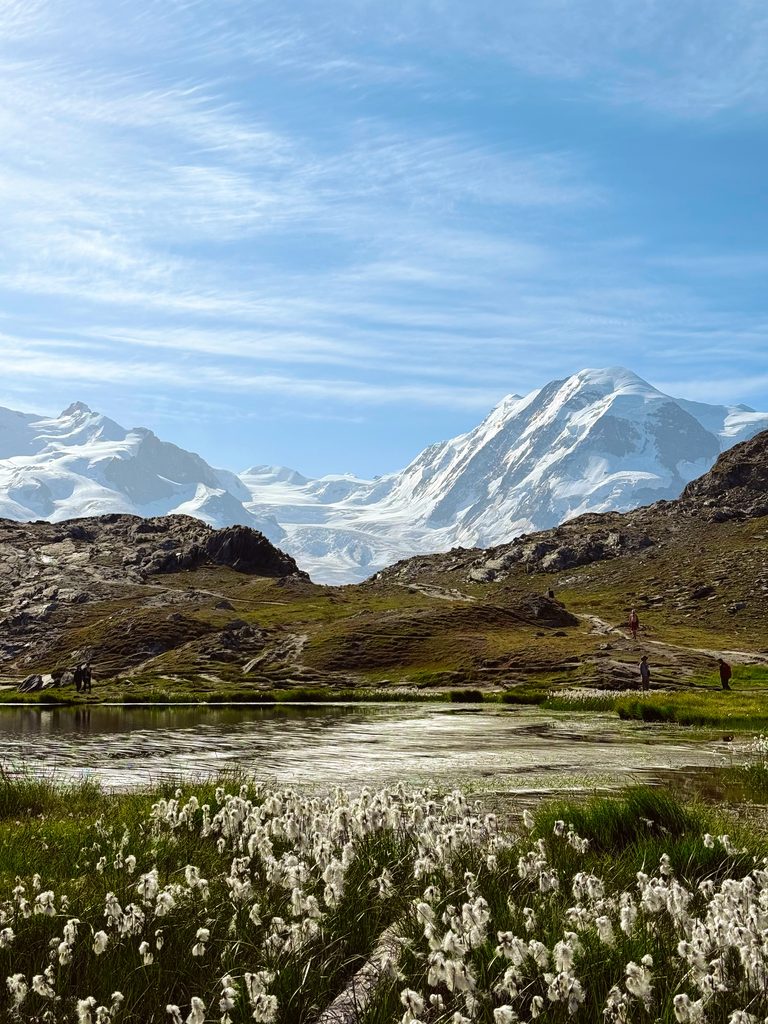Snow-covered Alps overlooking an alpine lake and hiking landscape in Europe